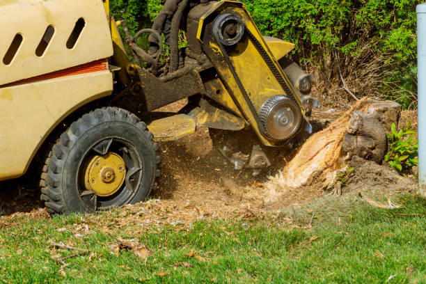 Best Aeration Services  in Nibley, UT